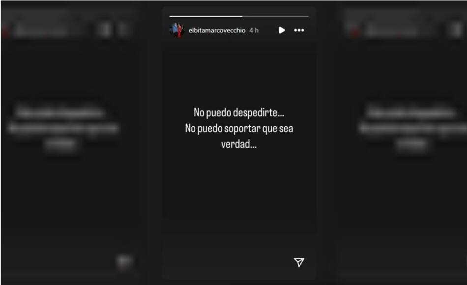 El mensaje de Elba Marcovecchio. Foto: Instagram