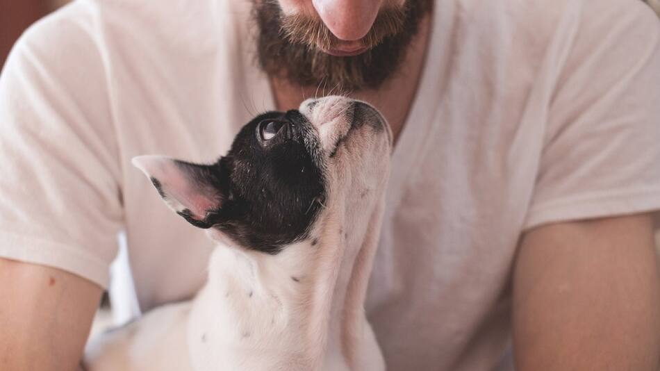 Veterinarios explican por qué abrazar a los perros puede causarles estrés.